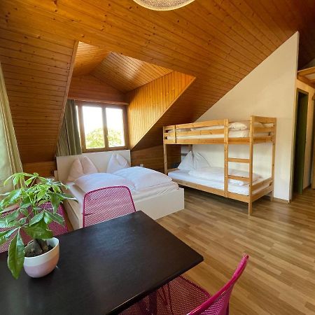 Central Beauty Scenery Apartment Интерлакен Экстерьер фото