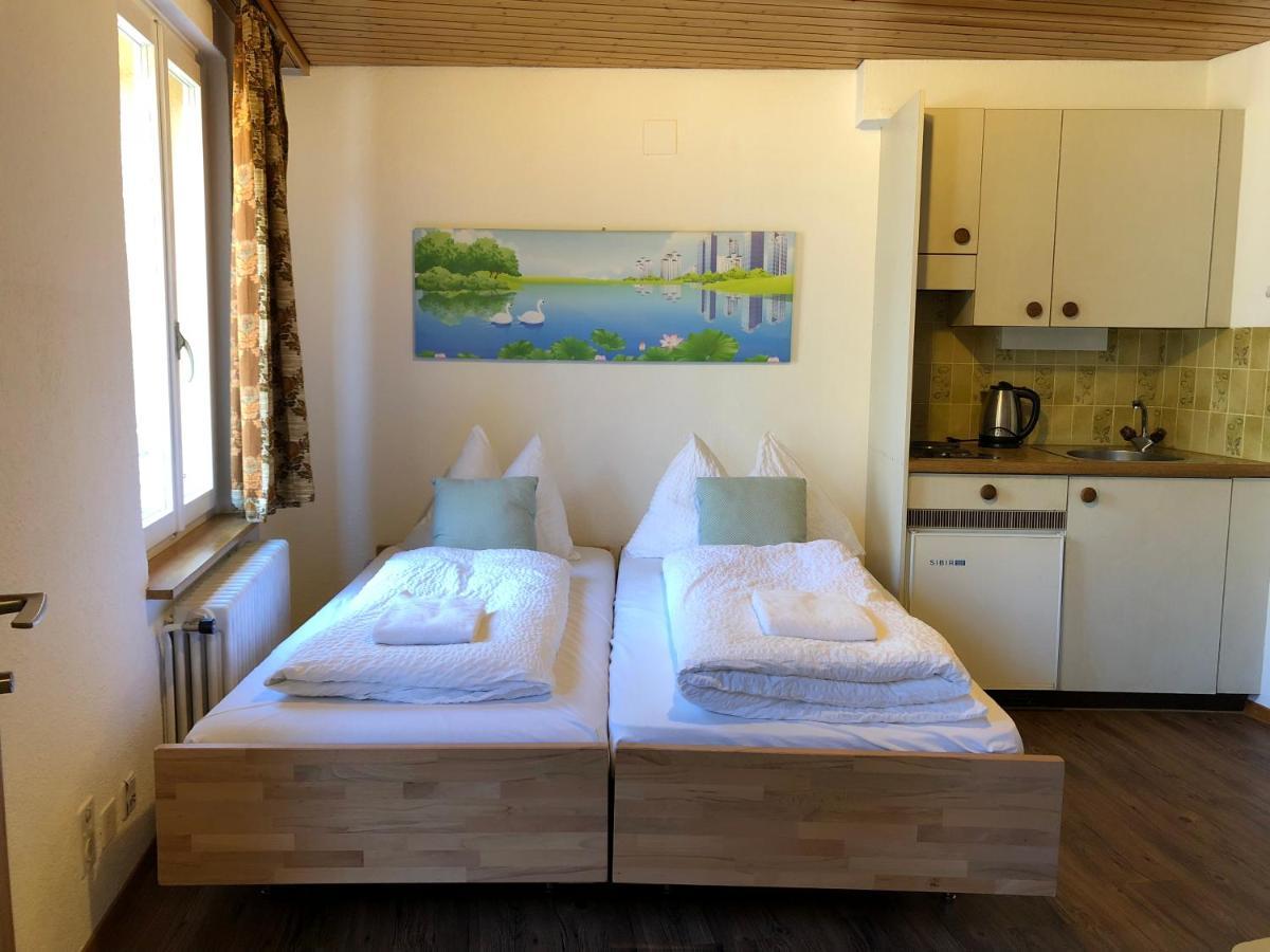 Central Beauty Scenery Apartment Интерлакен Экстерьер фото