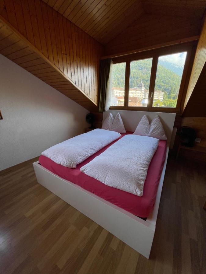 Central Beauty Scenery Apartment Интерлакен Экстерьер фото