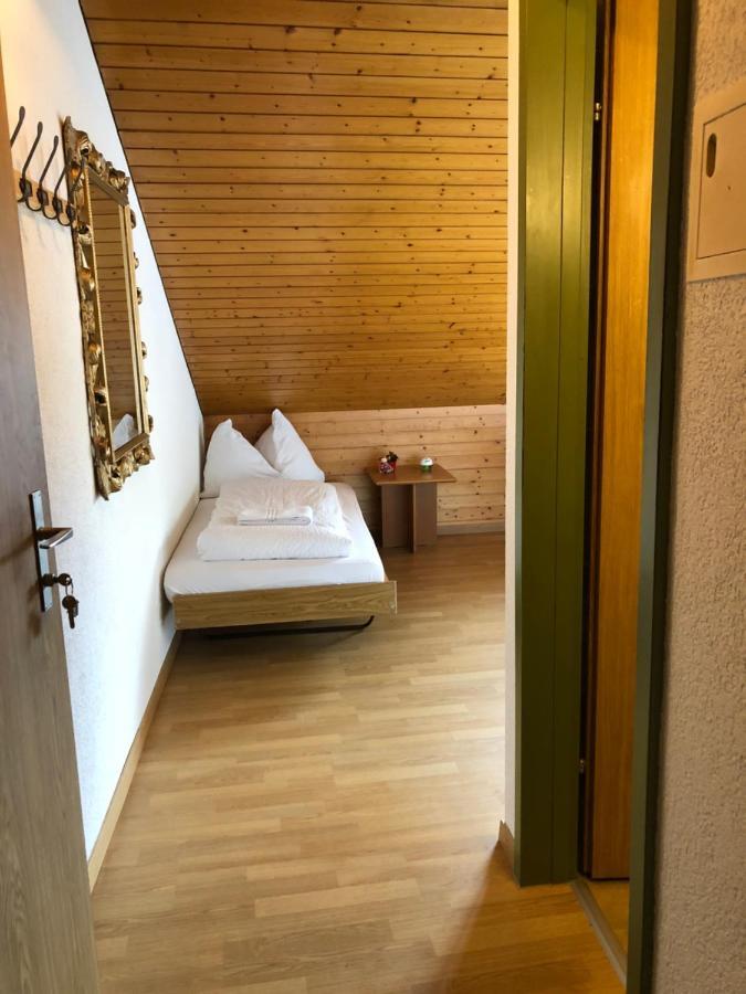 Central Beauty Scenery Apartment Интерлакен Экстерьер фото